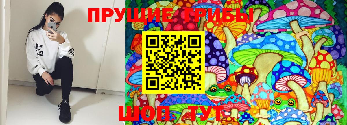 Псилоцибиновые грибы прущие грибы Саров