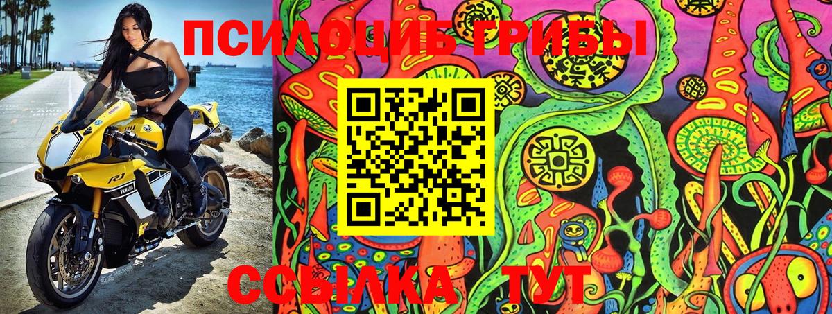 Псилоцибиновые грибы Cubensis  Вход с VPN  Саров 